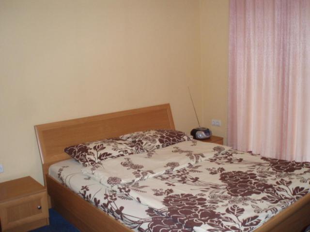 Marijos Karpenko Apartaments Kaunas Habitación foto